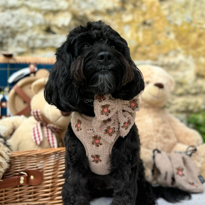 Black dog wearing a tan embroidered teddy Cocopup London harness, sitting outdoors with teddy bears.