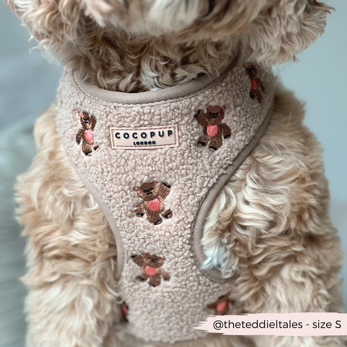 Small dog wearing a soft beige Cocopup London teddy harness with embroidered detail and adjustable neck.