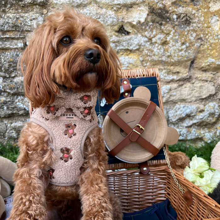 Brown dog wears a tan embroidered teddy bow tie, sitting next to a picnic basket by a stone wall.