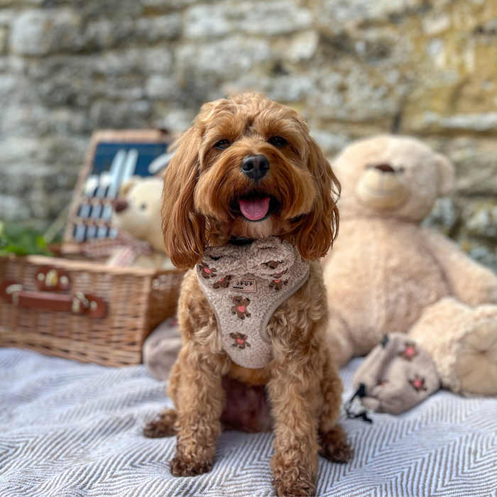 Brown dog wearing a tan Cocopup London embroidered teddy bow tie sits on a blanket with teddy bears and a picnic basket.