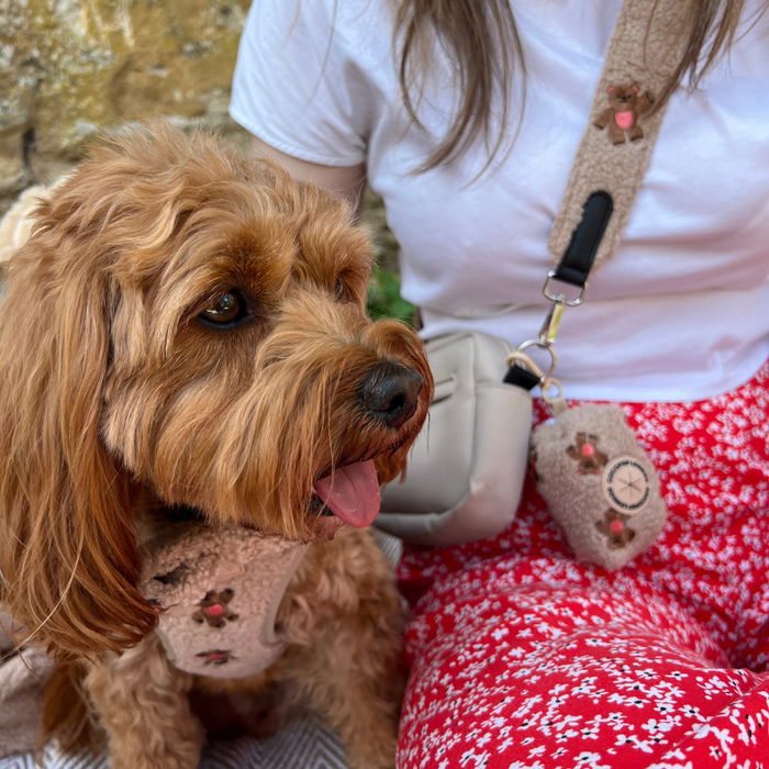 Brown dog in a pink harness with Cocopup London Theo Embroidered Teddy Poop Bag Holder next to woman in floral skirt.