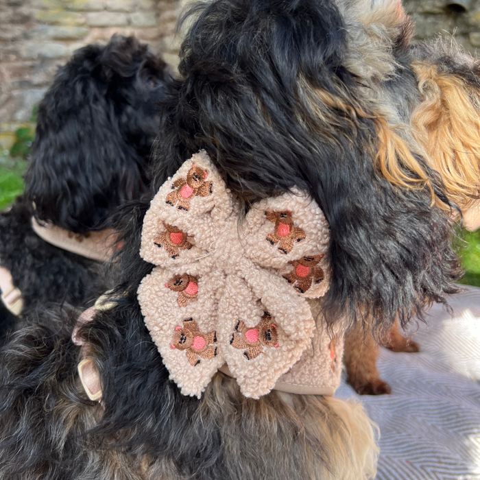 Black and tan dog outdoors wearing a Cocopup London teddy sailor bow tie with Theo embroidery on its collar.