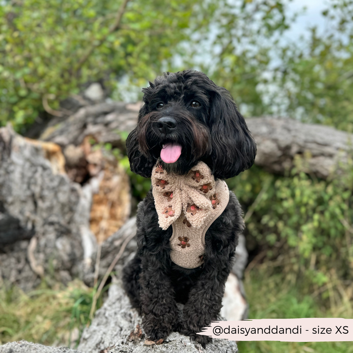 Small black dog in a tan harness and cream teddy fabric sailor bow tie, sitting on a log outdoors.