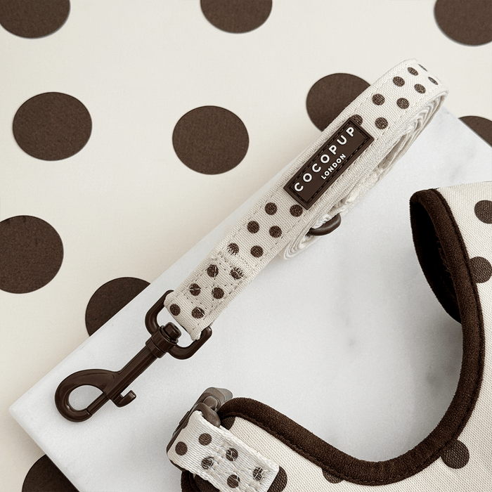 Dog collar and leash set with 'CocoPup London' branding on a polka dot background