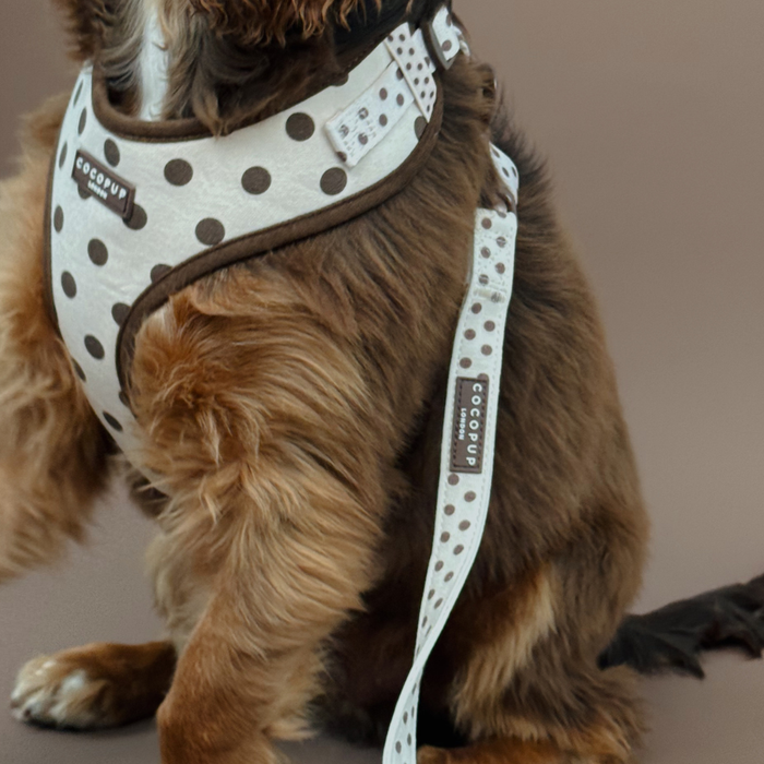 Tiramisu Polka Dot Lead