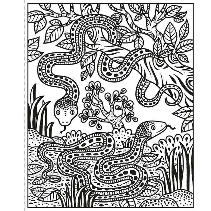 Usborne Magic Painting Book - Zoo